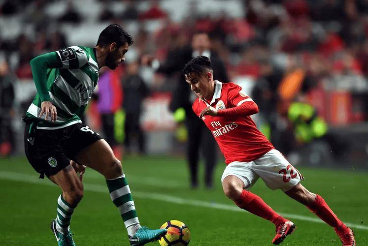 官方网站-sunny电竞哔哩哔哩个人空间